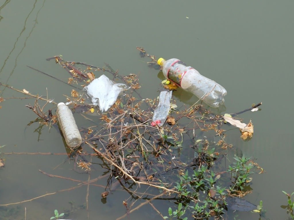 water pollution solutions